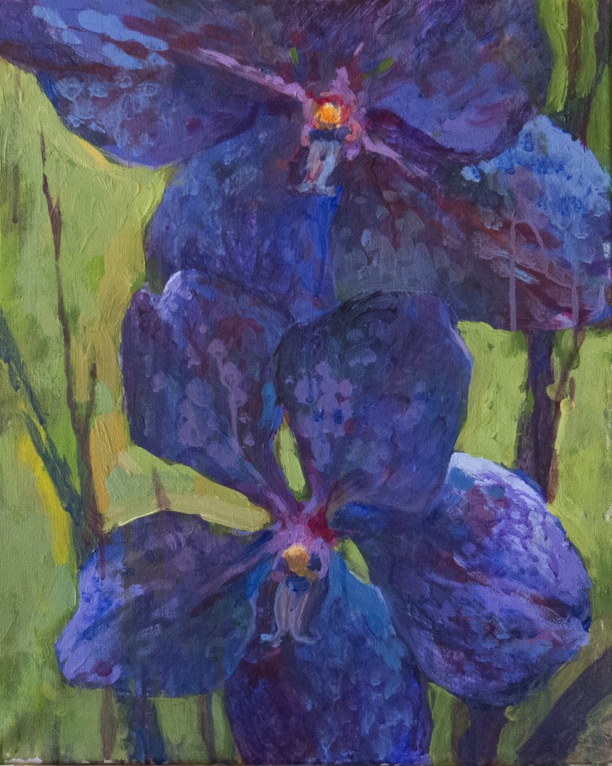 Fialová orchidej