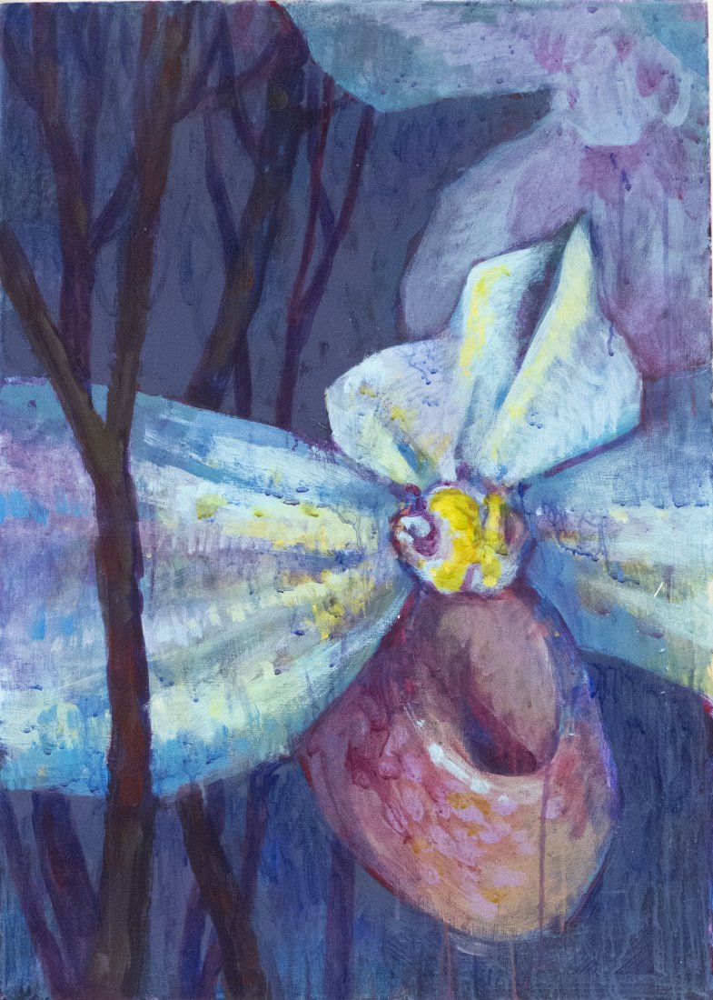 Modrá orchidej