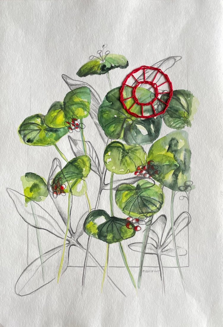 Botanika studie