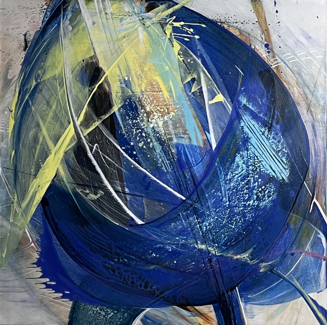 Blue tulip