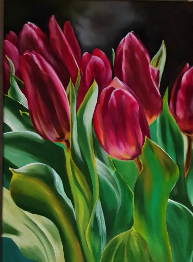 Ticho tulipánů