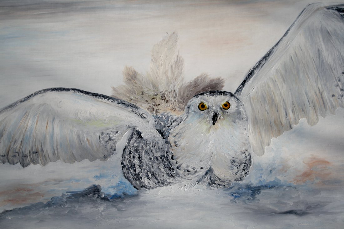 Snow storm