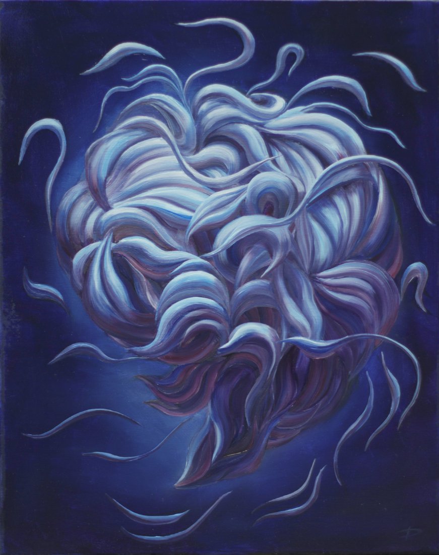 Nautilus Pompilius