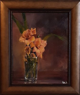 Gladiolus