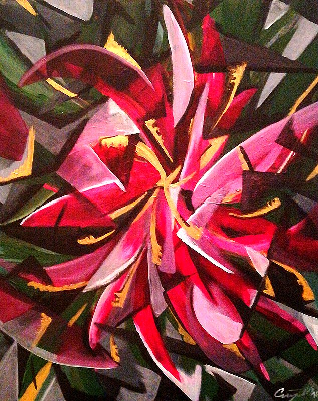 Amaryllis