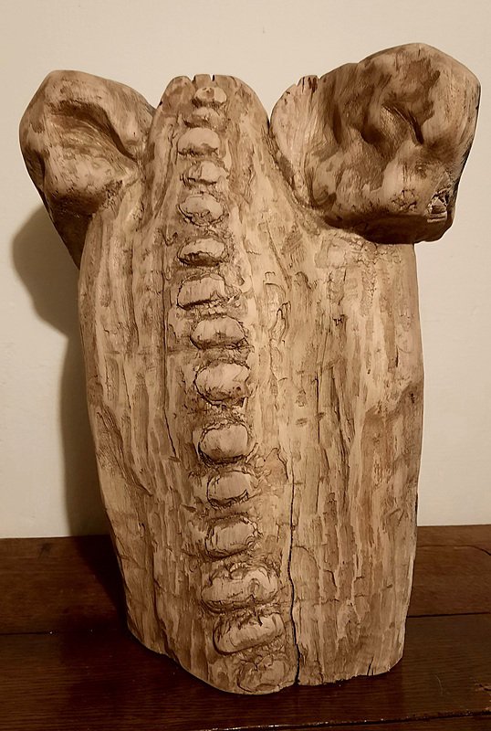 Torso