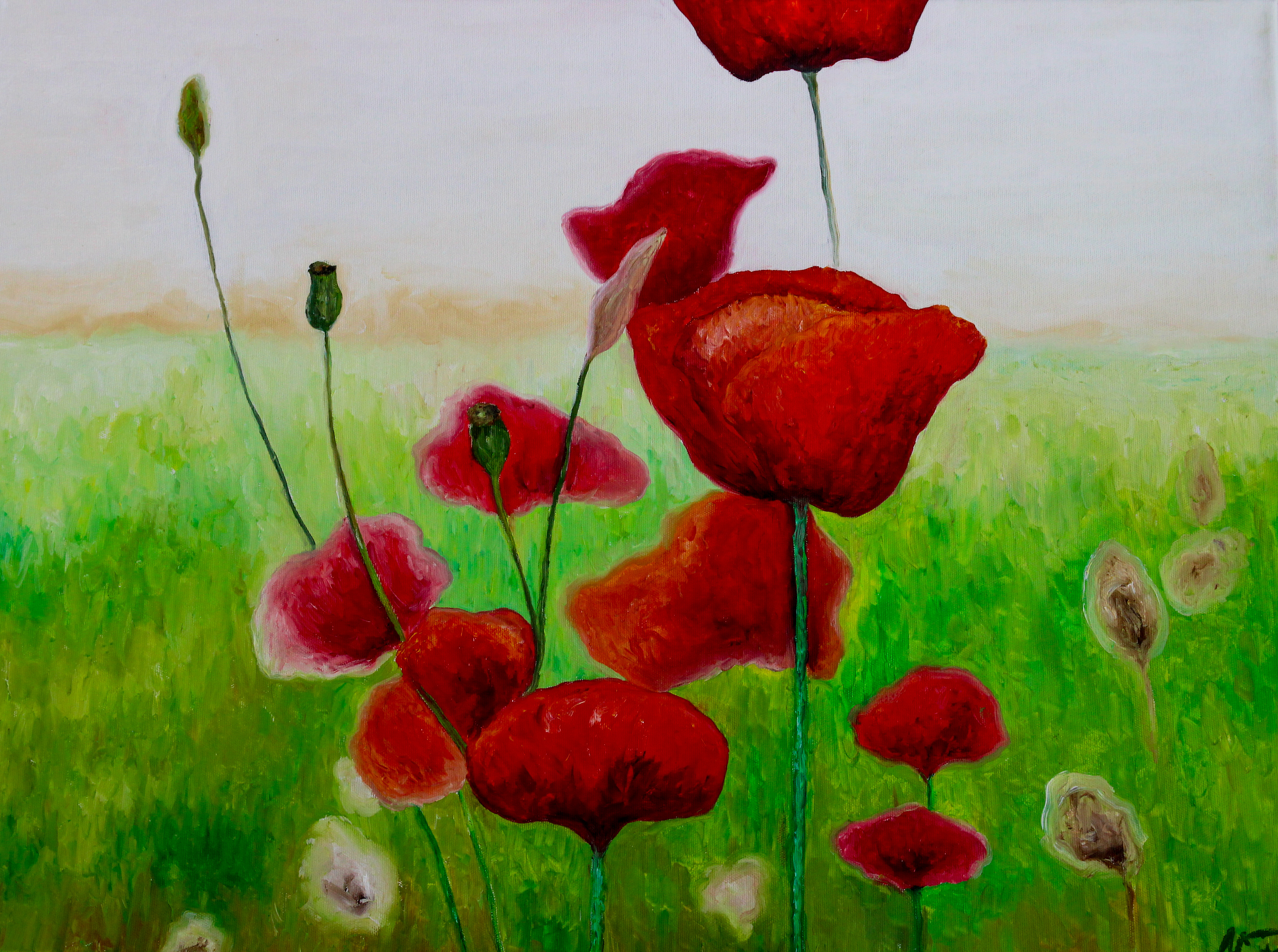 WOLFS MEADOW