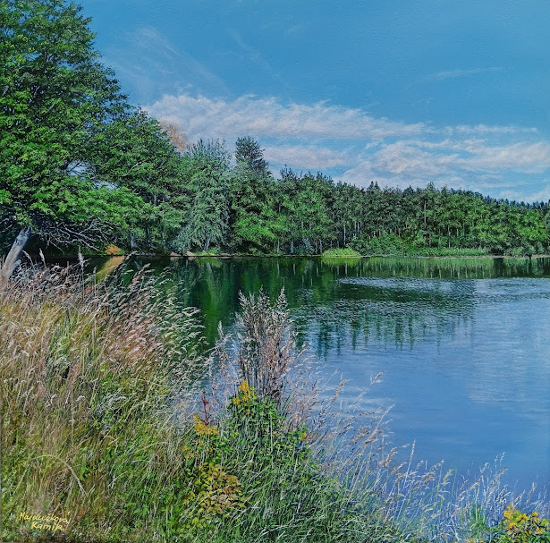 Rybník Plánský (Plánský Pond)