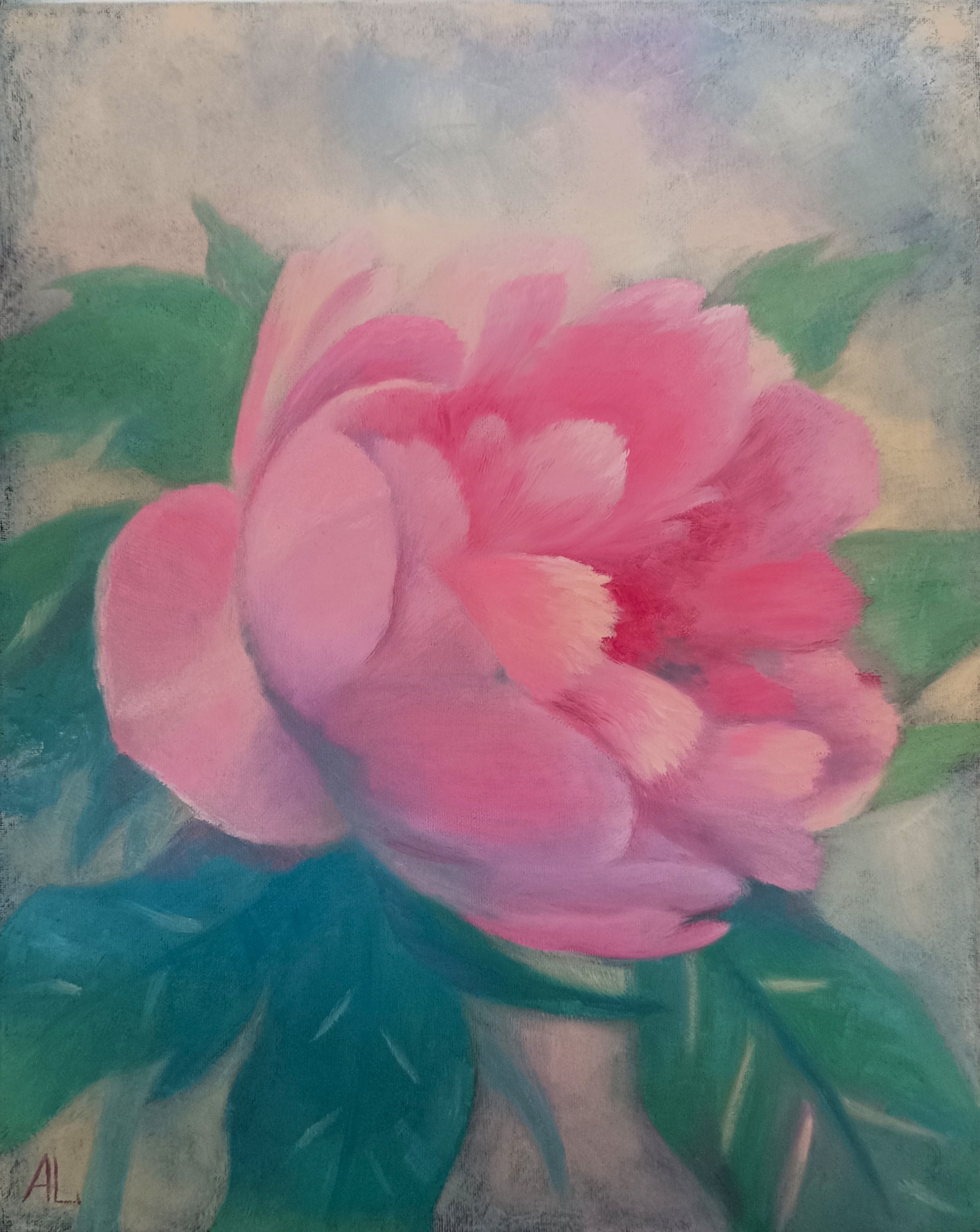 Pivoňka (Peony)
