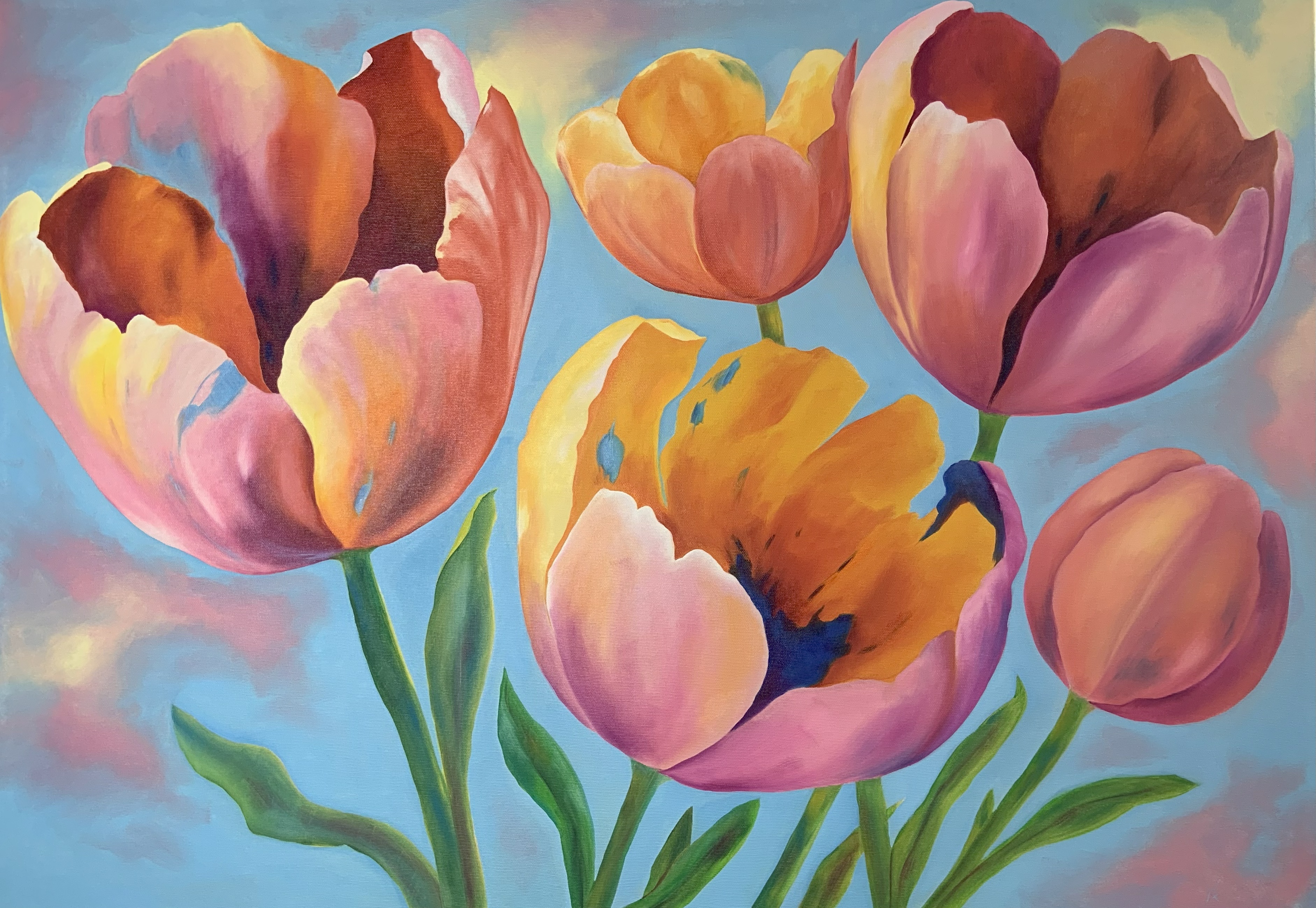 Tulipánová serenáda