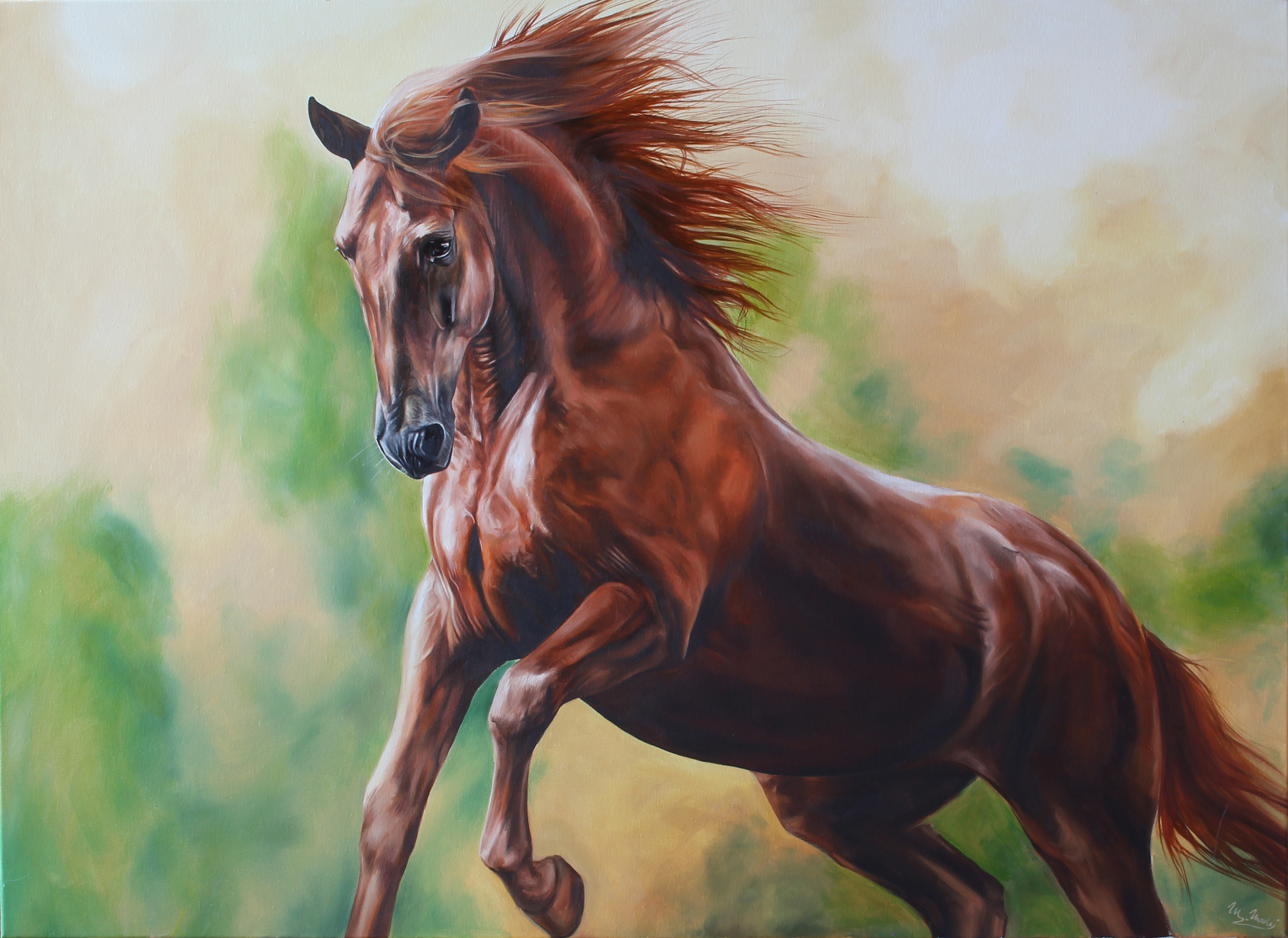 Horse- kůň
