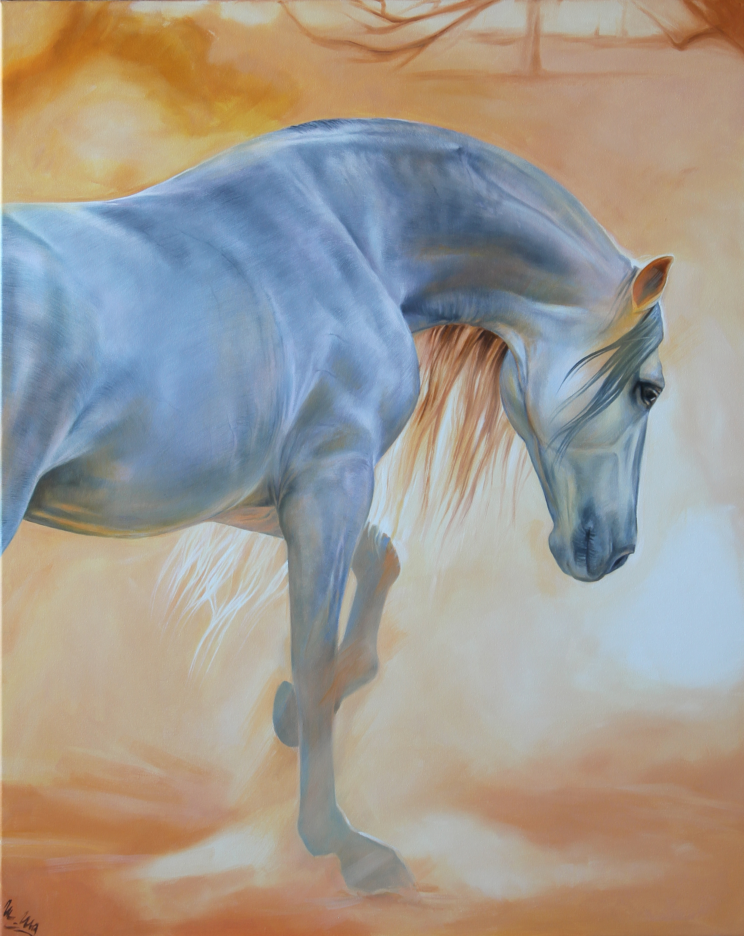 Kůň - ve žlutém prachu (Horse - in the yellow dust)
