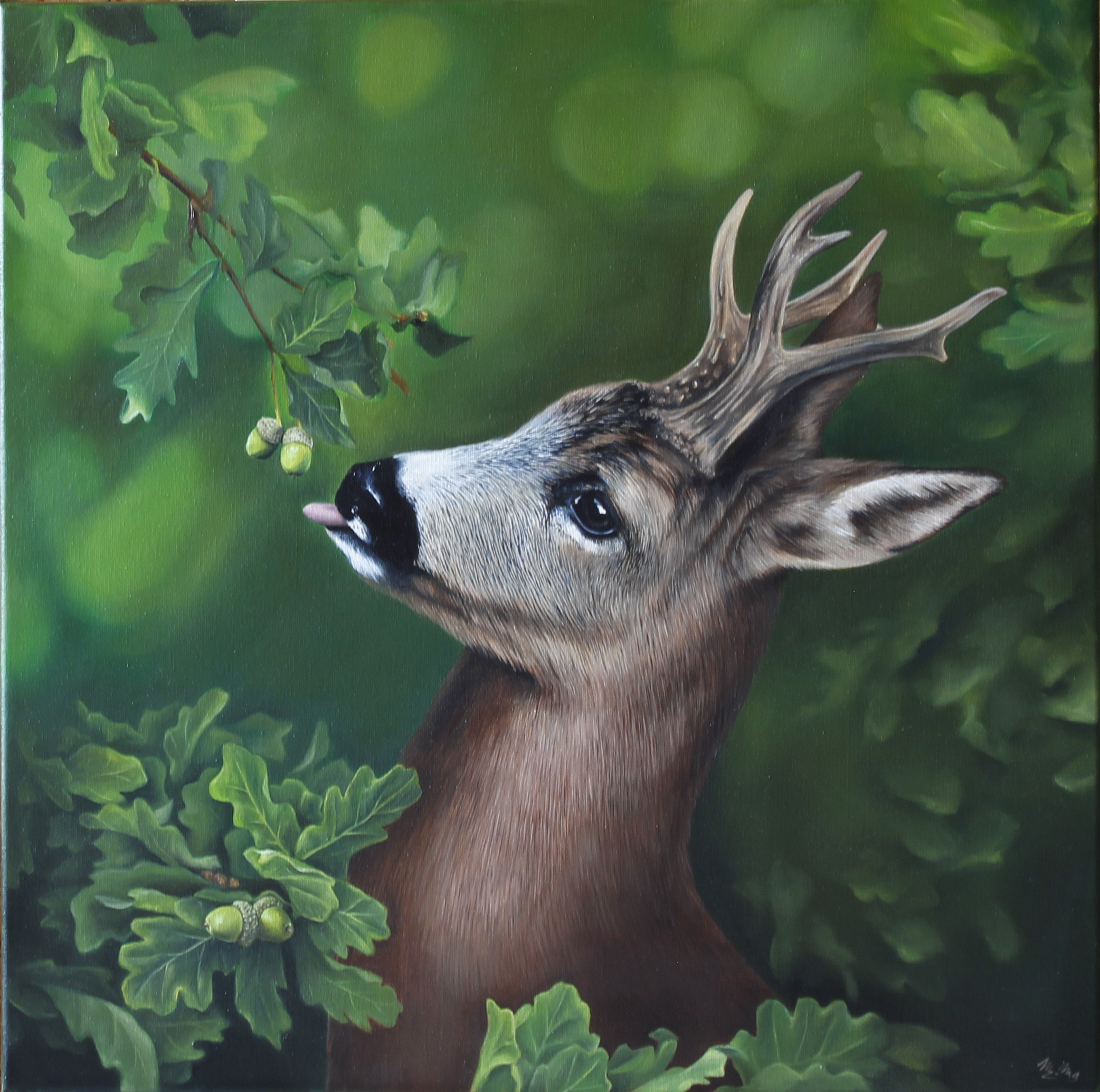 Deer - Srnec (Deer - Roe Deer)