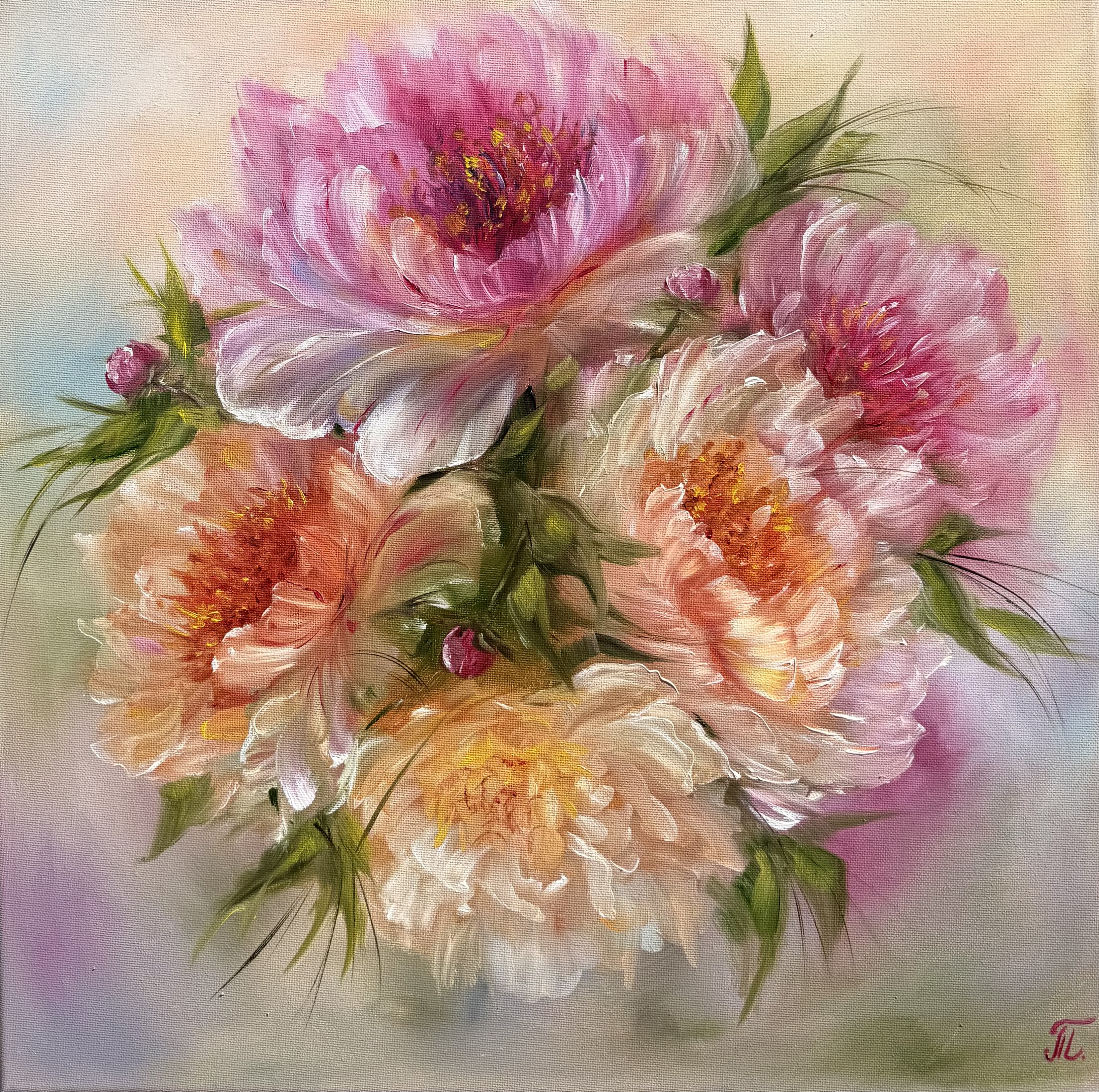 Série Magic Peonies – Dárek pro ni