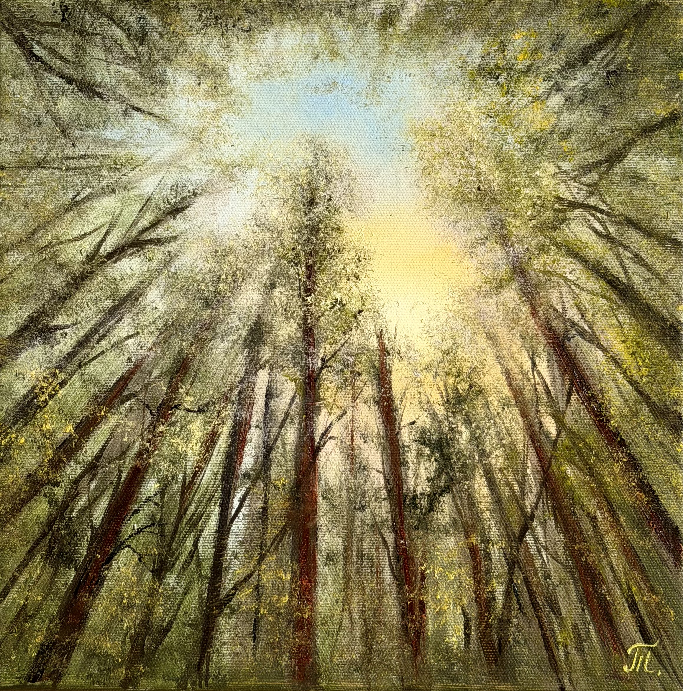 Mezi stromy (Among the Trees)