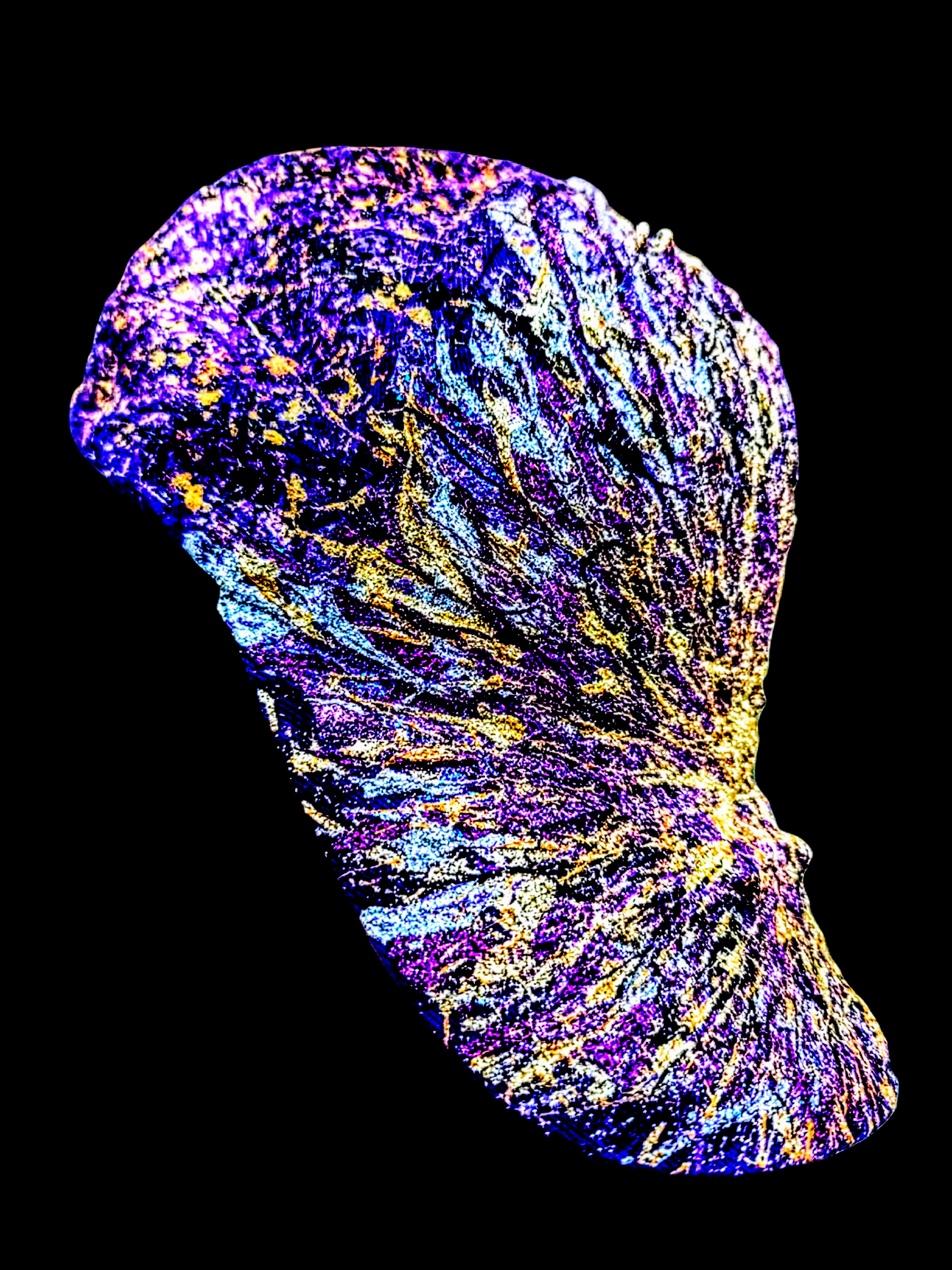 funky art cap