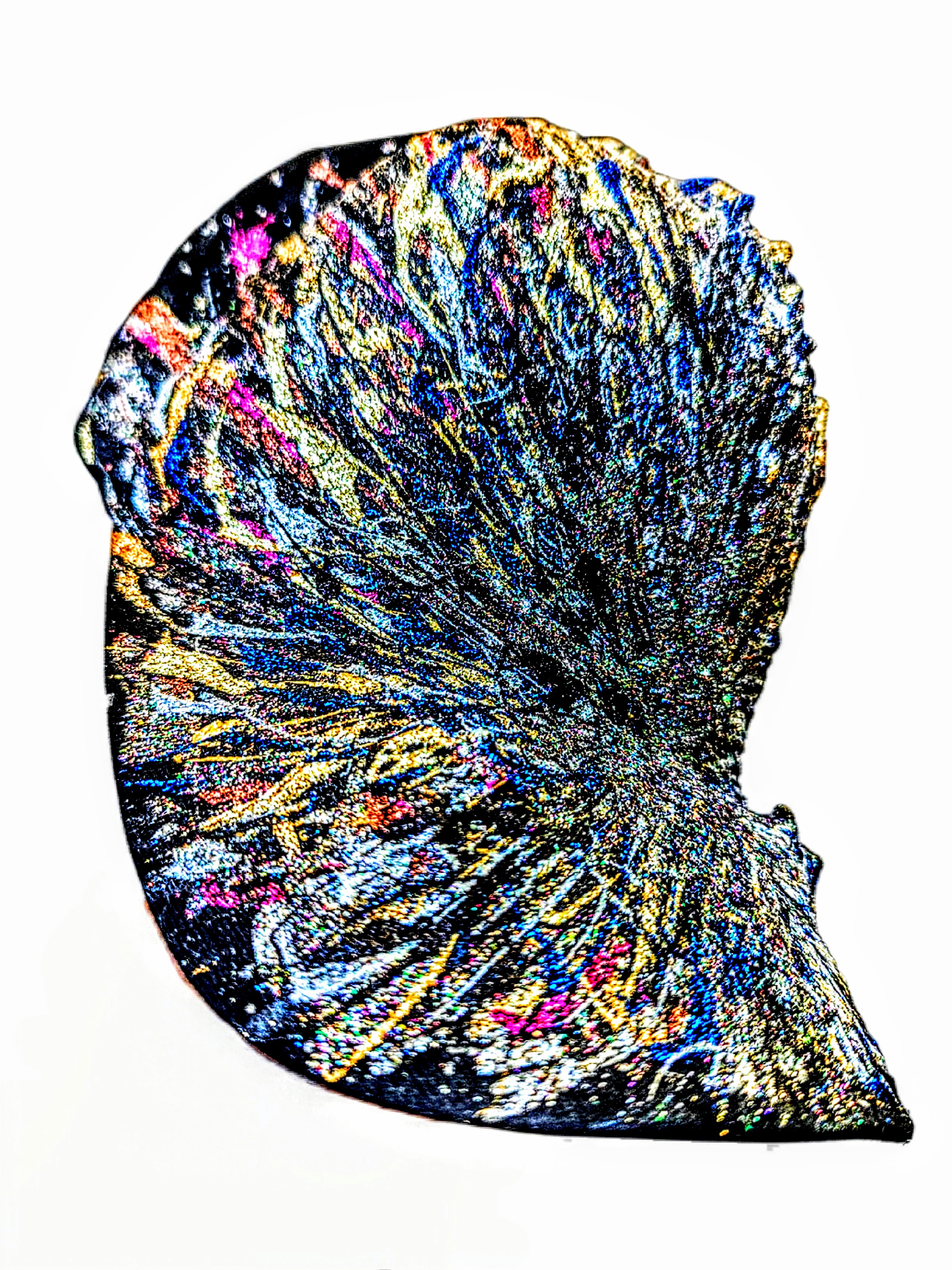 DARKNESS ART CAP — VANITAS ÉTERNELLE