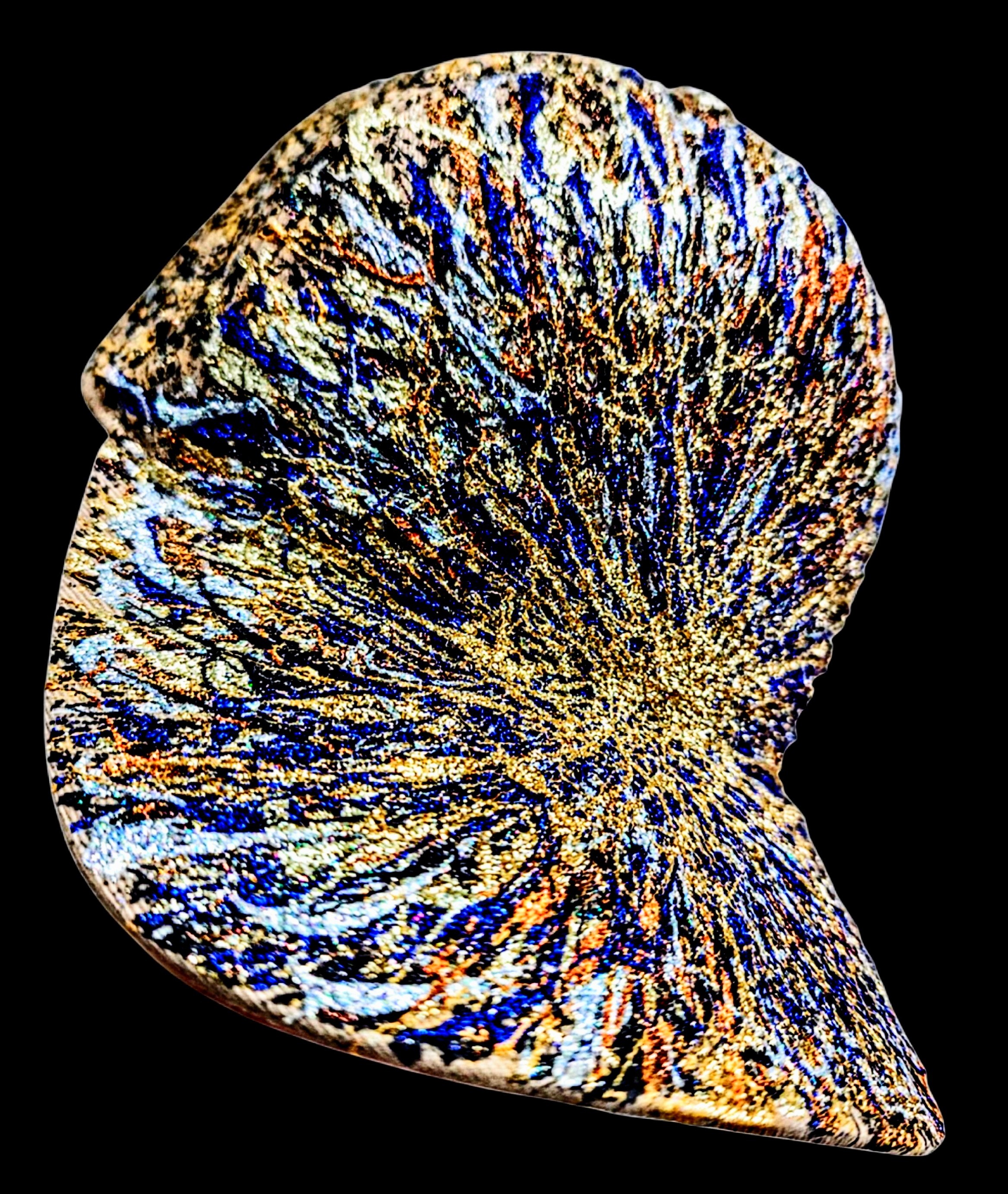funky art cap GOLDEN EXPLOSION (Funky Art sapka GOLDEN EXPLOSION)