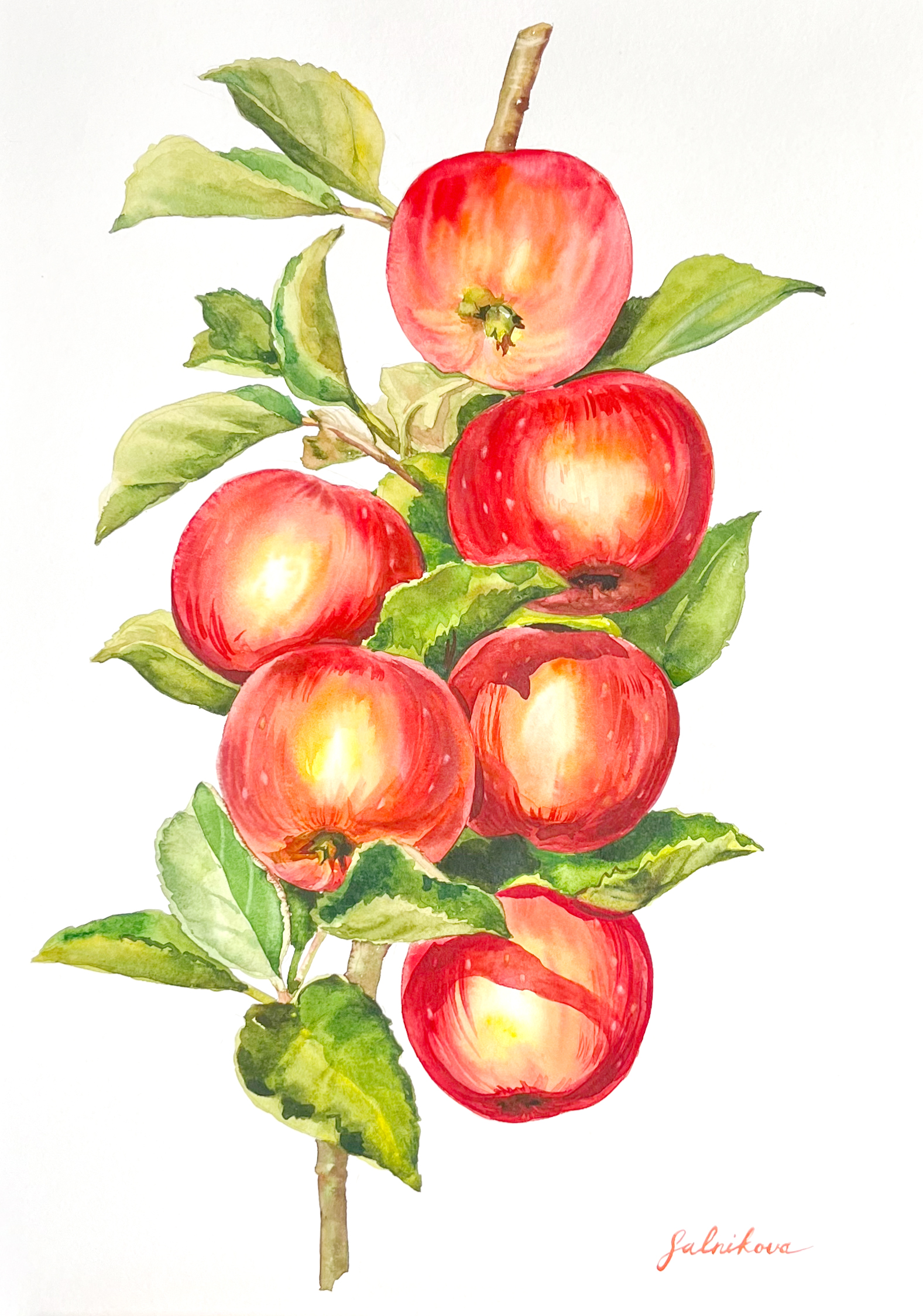 Red Apples