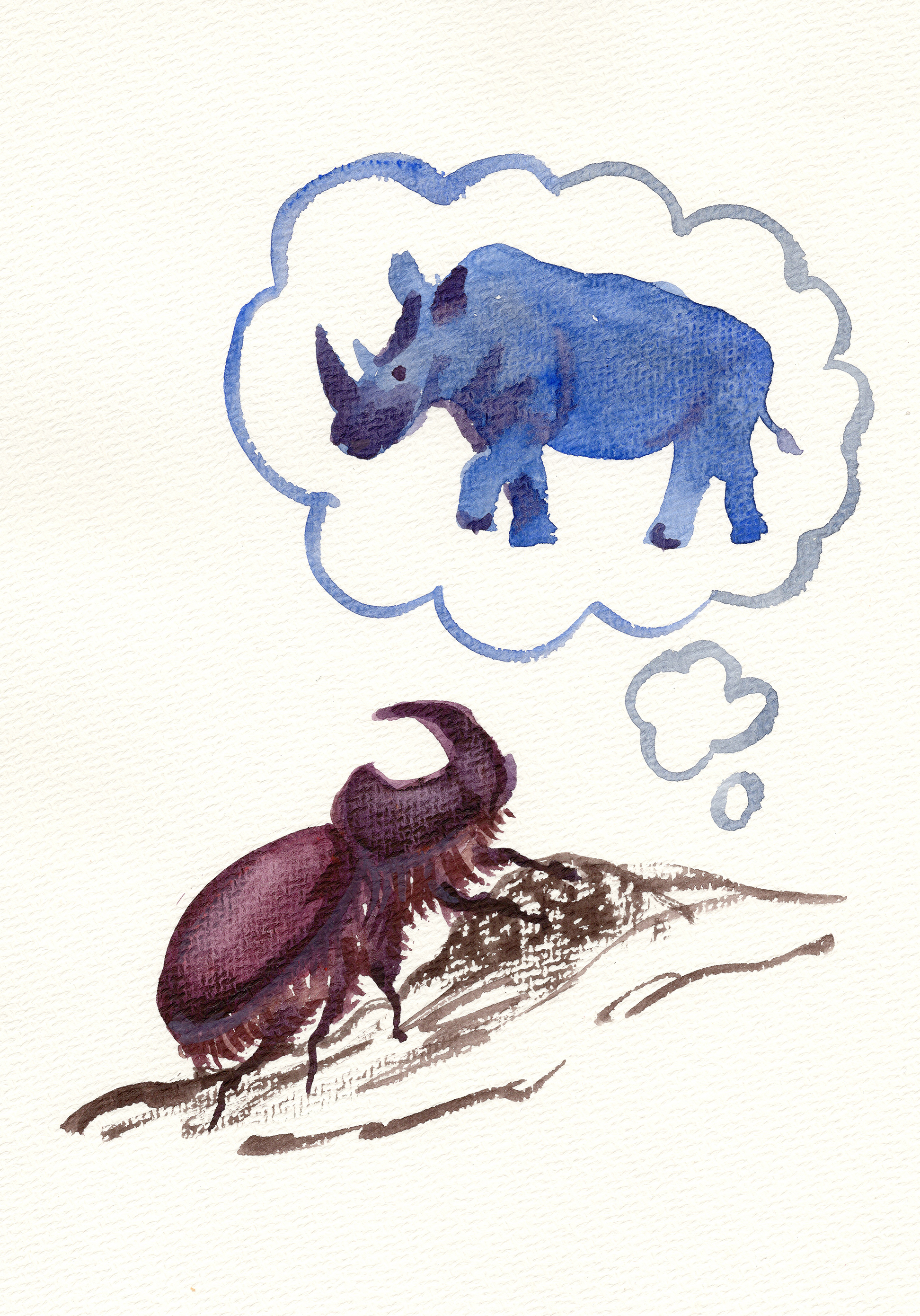 Dreamer