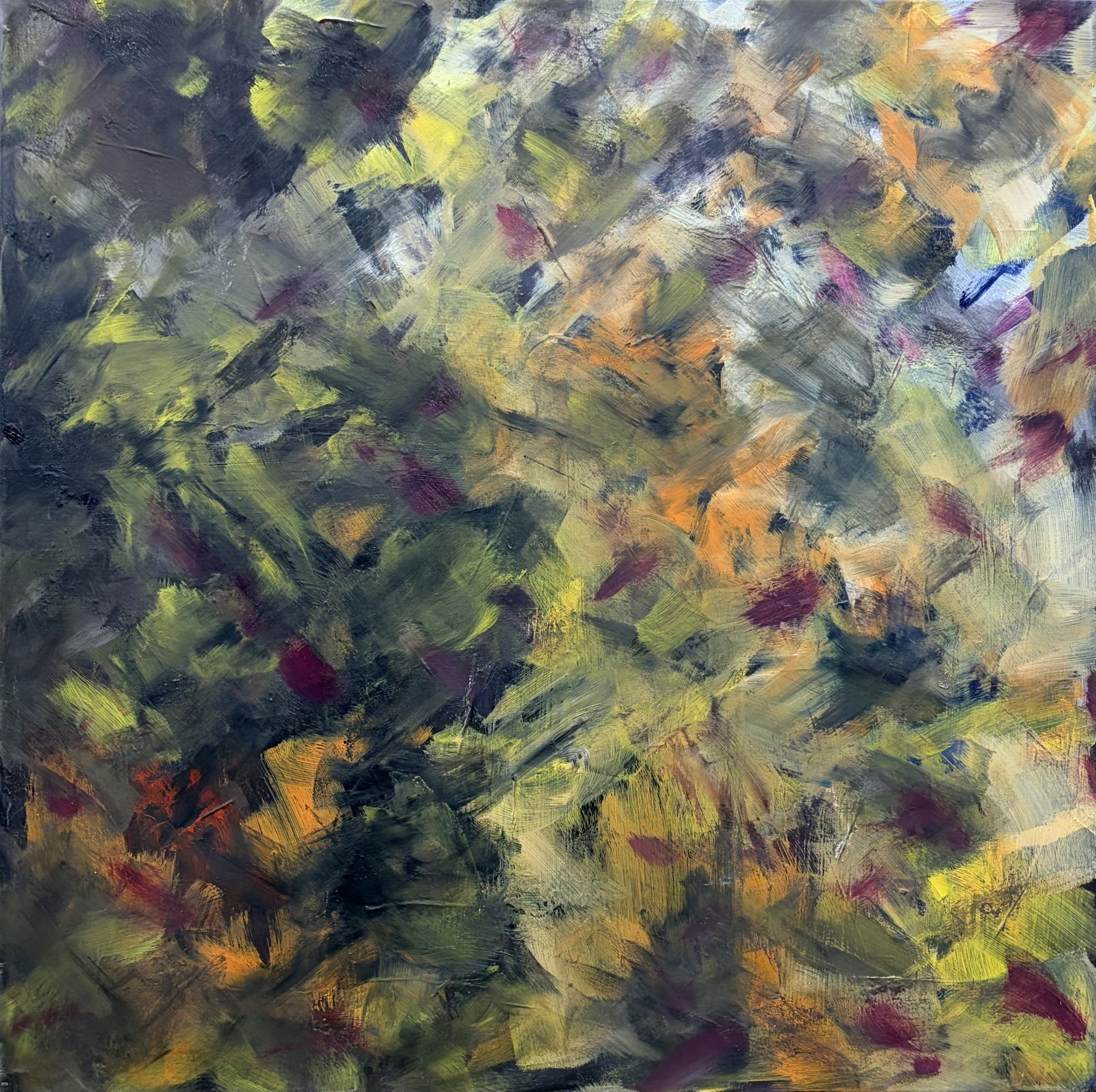 Světlo v houštině 196 (Light in the Thicket 196)