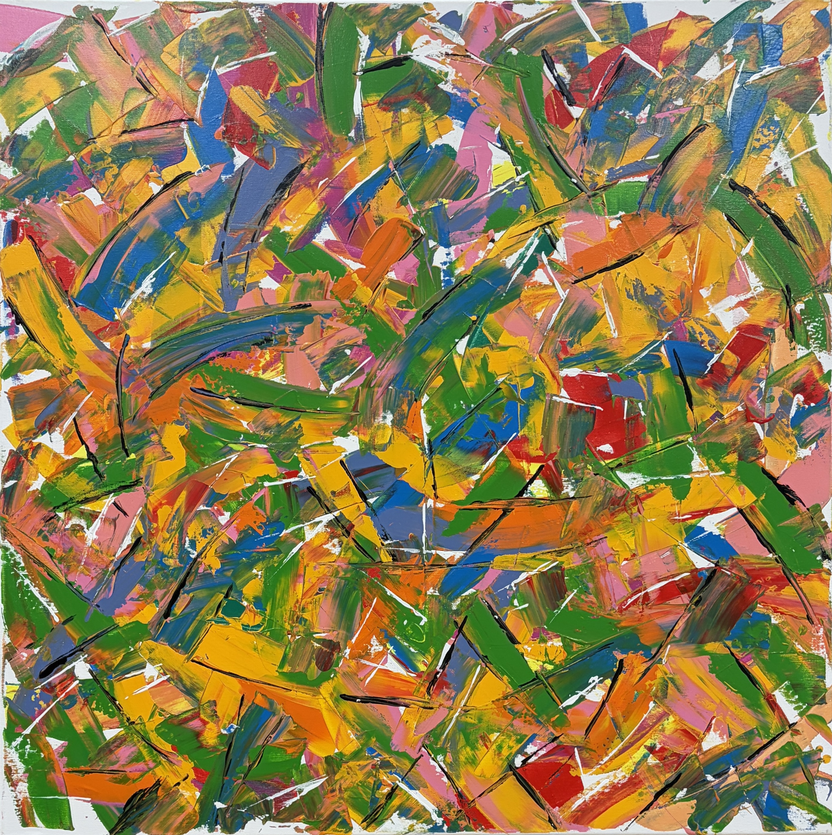 Pestrý vír (A Colorful Whirl)