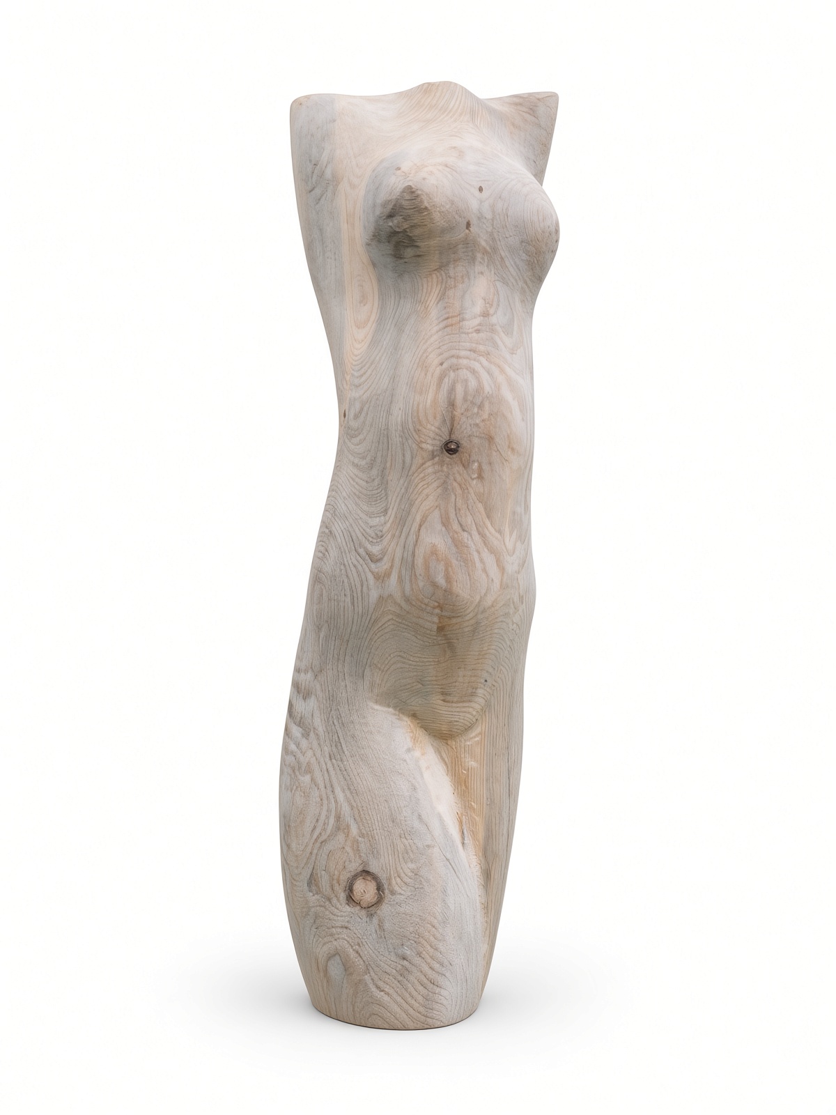 Torzo větší (Larger Torso)