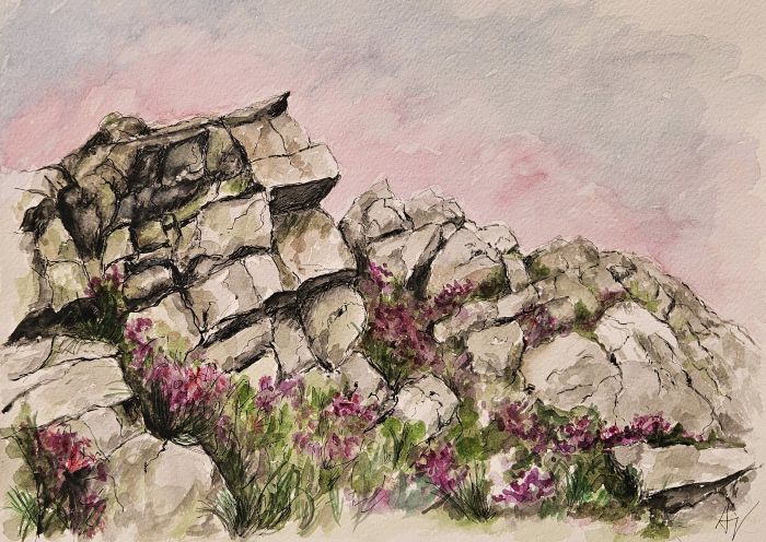 Vřes (Heather)