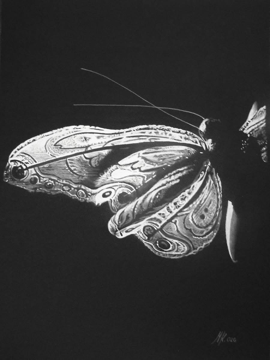 Motýl (Butterfly)