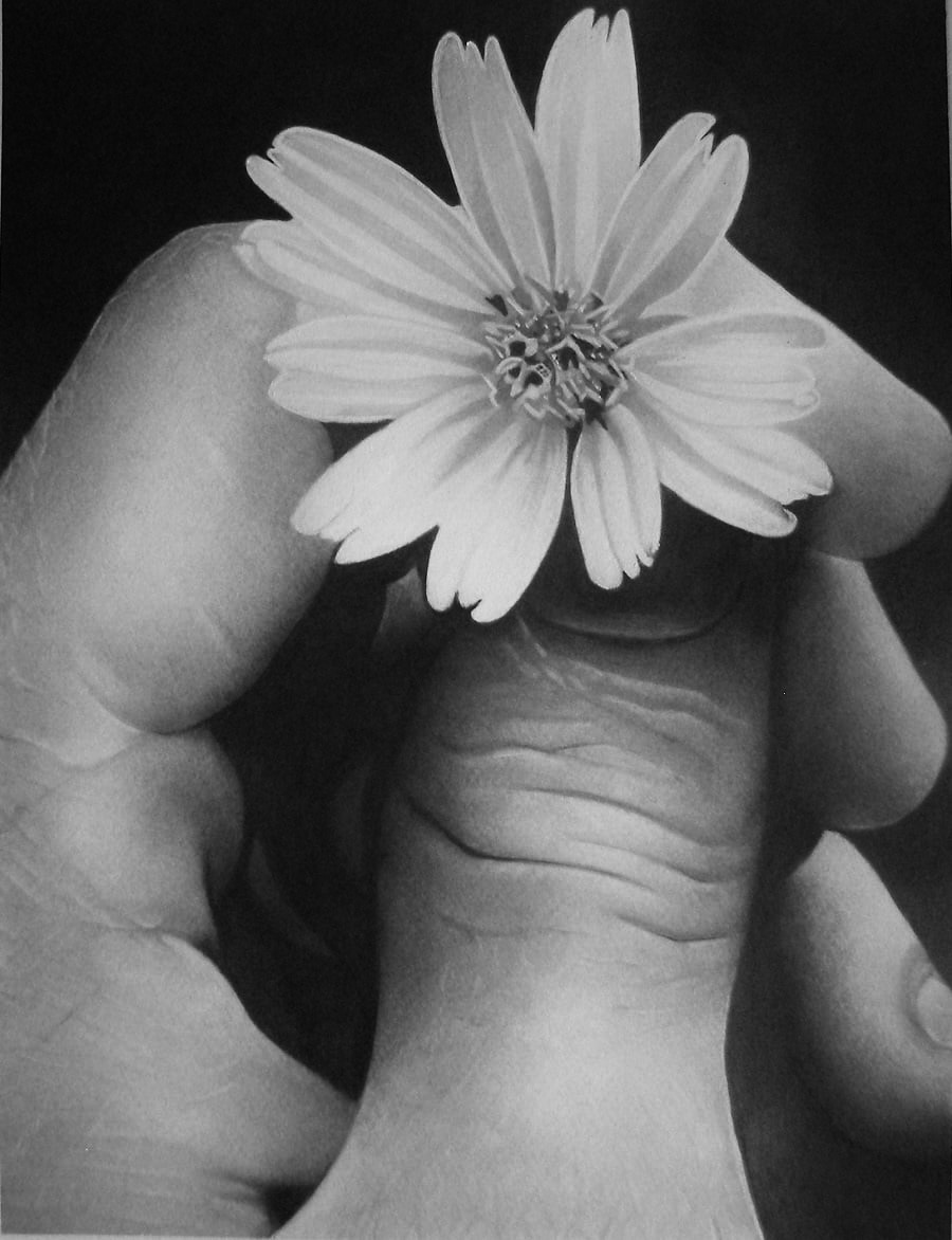 Květ (Flower)