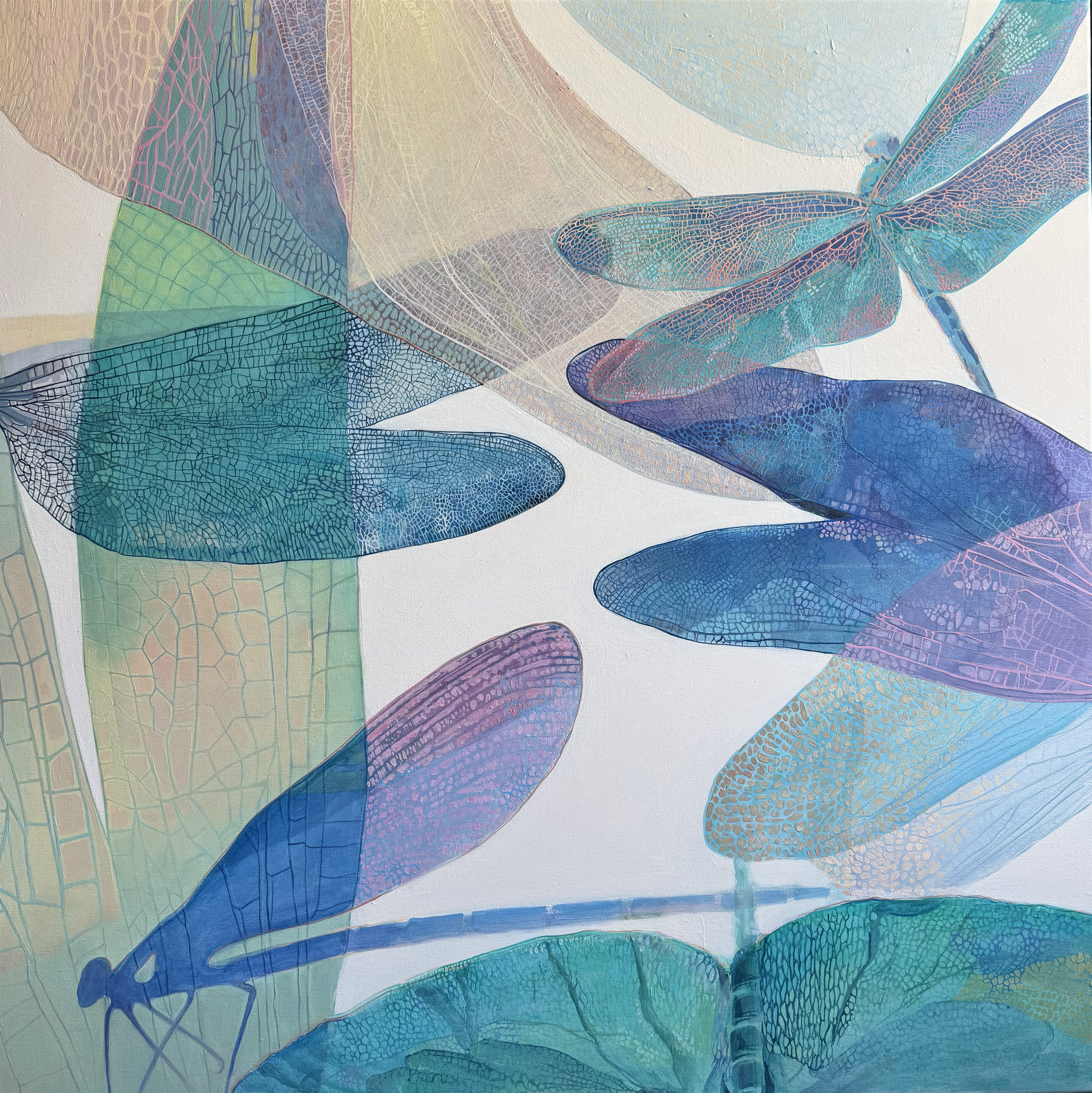Dragonflies III