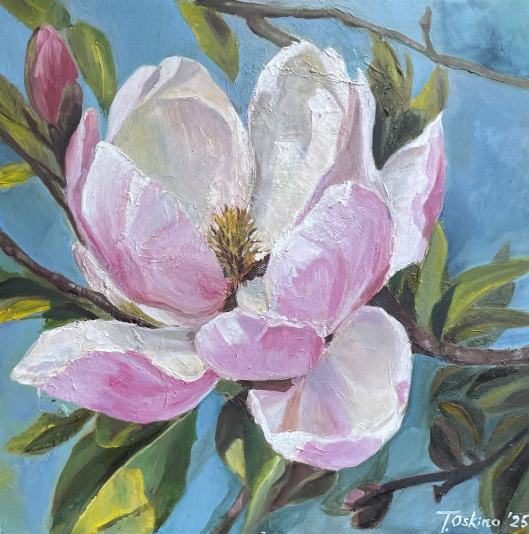 Magnólie (Magnolia)