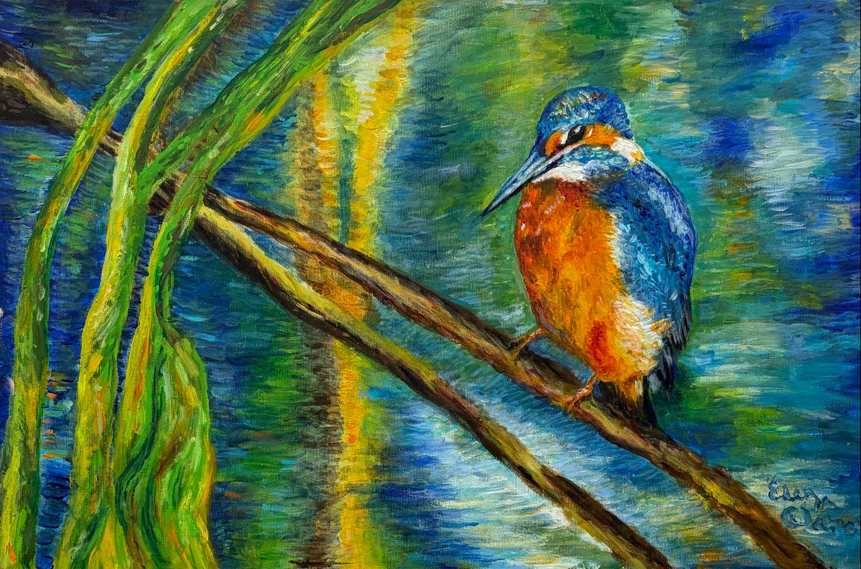 ledňáček na vodě (a kingfisher on the water)