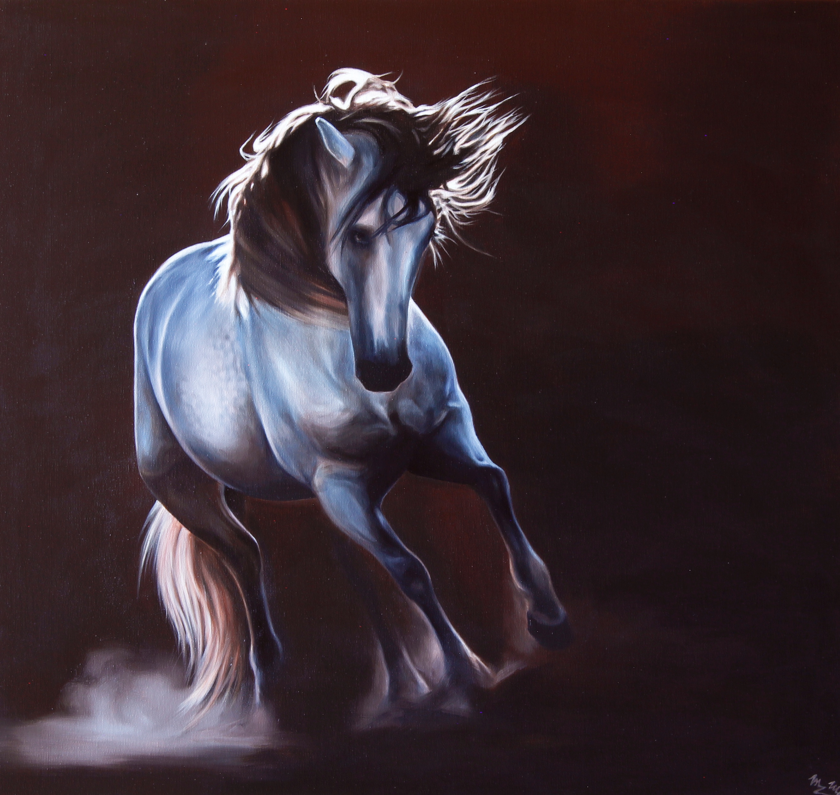 Horse - Beauty in the arena (Horse - Beauty in the Arena)