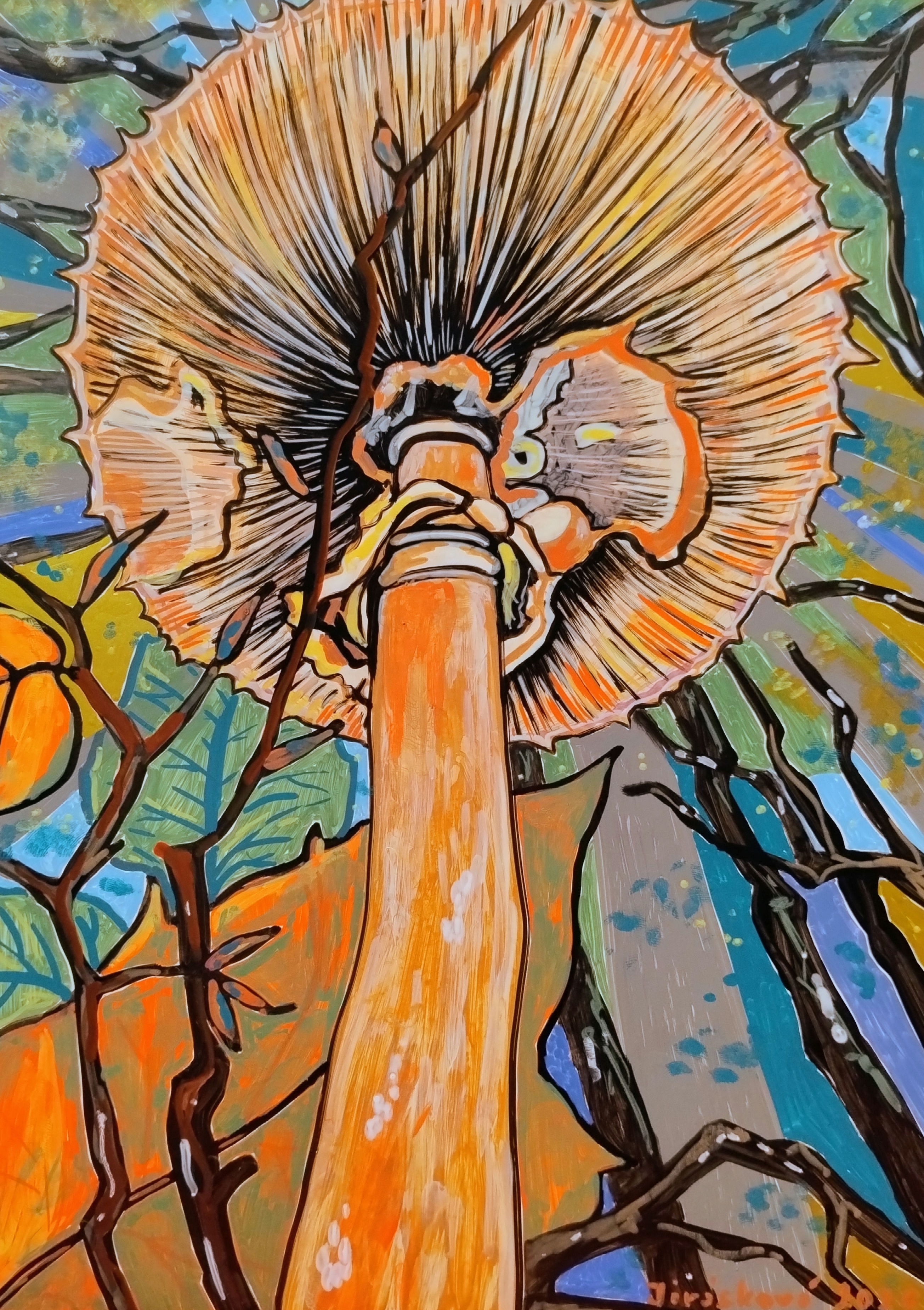 Bedla (Parasol Mushroom)