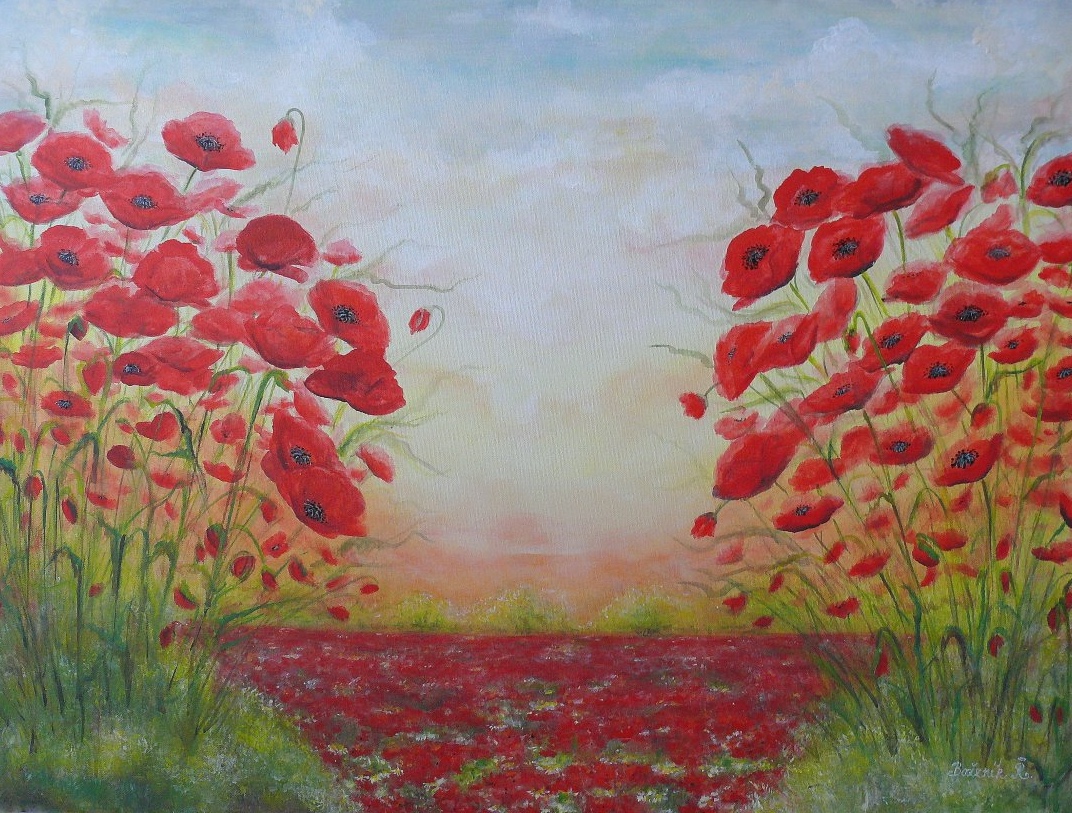 Makove pole (Poppy Field)