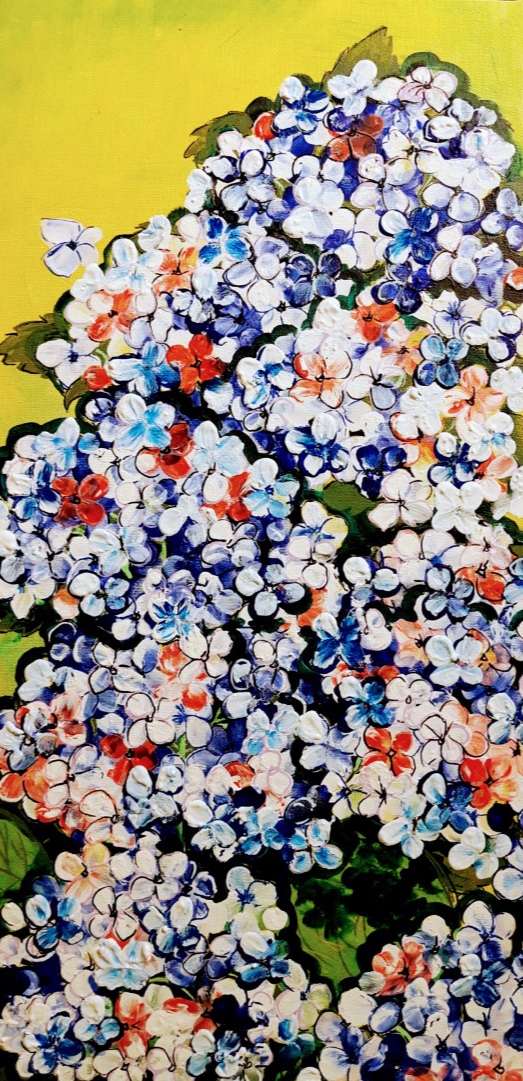Hortenzie (Hydrangea)