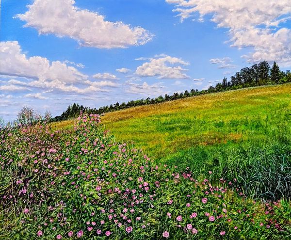 Šepot vrbovky