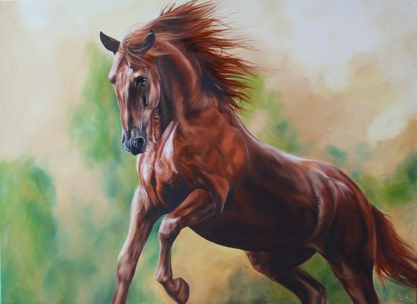 Horse- kůň