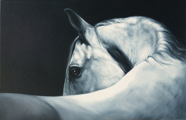 Kůň - Horse