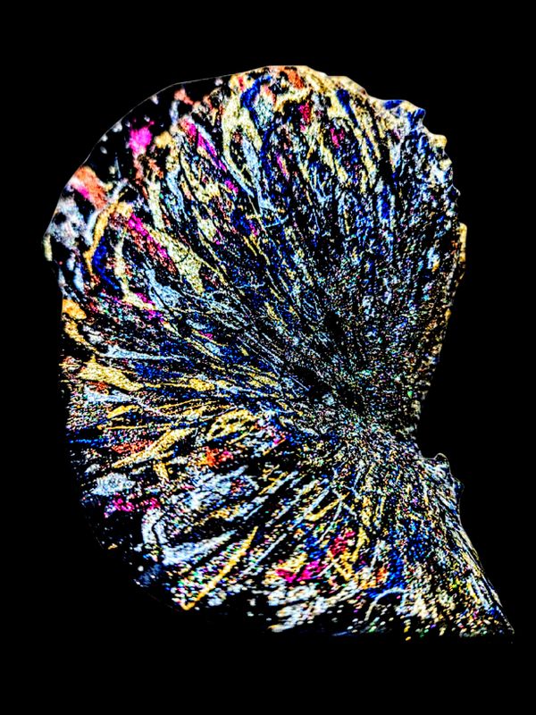DARKNESS ART CAP — VANITAS ÉTERNELLE