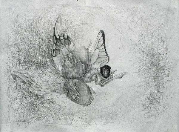 V kukle