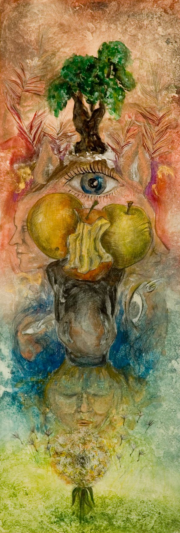 Intuícia