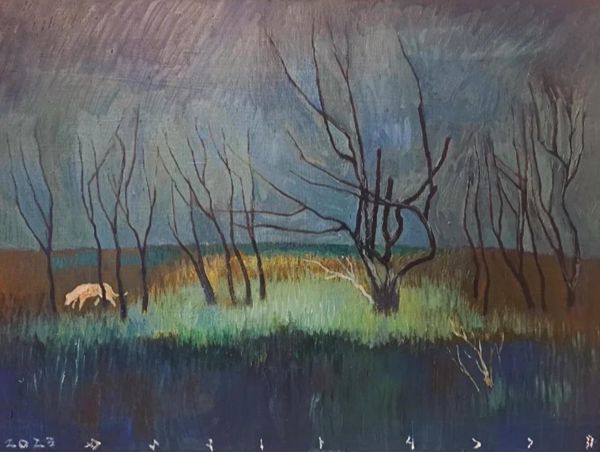 Burnt branches in the night